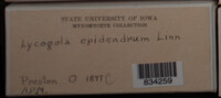 Image Associated With the Occurence